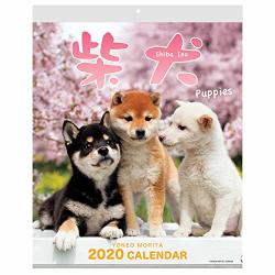Shiba Inu Wall Calendar 2020 With Adorable Shiba Dog Puppies' Pictures Wall Calendar 2020