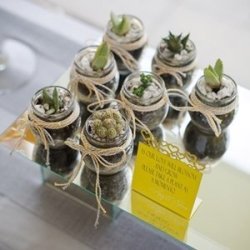 Wedding Favours - Going Green Gifts