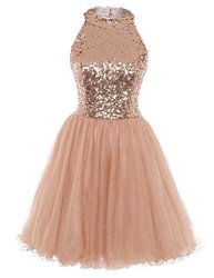 Homecoming Dress Cocktail Dresses Short Sequin Halter Open Back Evening Party Dress A Line Rose Gold US18W