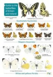 Butterflies 2ND Edition Paperback