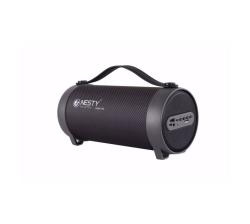 Nesty Wireless 10W Bluetooth Portable Speaker With Fm Radio GR88