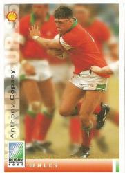 Anthony Copsey - Sports Deck "rugby World Cup 95" - Base Trading Card 114