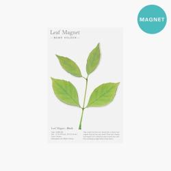 Birch Leaf Magnet Set - Green