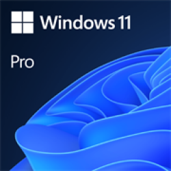 Windows 11 Professional DVD Single User License Dsp No Warranty On Software   Product Overview  Bring Balance To Your Desktopwindows 11 Has Easy-to-use