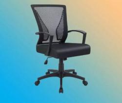 Furmax Mesh Office Chair