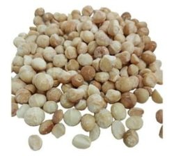 Macadamia Nuts Roasted And Salted 11KG
