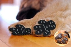 dog traction socks