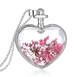 Willsa Jewelry Women Dry Flower Heart Glass Wishing Bottle Pendant Necklace J