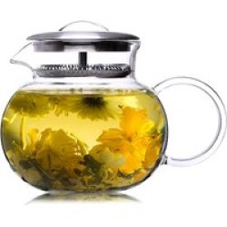 Nova Double Wall Glass Infused Tea Pot 800ML