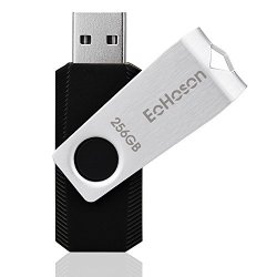 Eohoson USB Flash Drive 256GB - Silver With Keychain Design S-EOHO-256