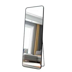 Free Standing Mirror Or Wall Mount