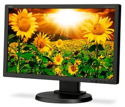 NEC 19" LCD Monitor