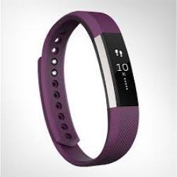 Fitbit Alta Large Activity Tracker in Plum & Silver