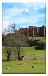 Single-gang Blank Wall Plate Cover - Castle Kenilworth Kenilworth Castle Old Medieval