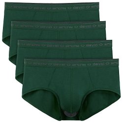 David Archy Men's 4 Pack Micro Modal Separate Pouch Briefs Olive Green L