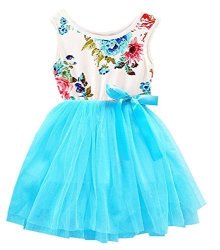 BABY 2BUNNIES Girls Floral Flower Girl Dress Tulle Tutu Birthday Party Sundress 4 Blue