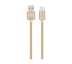 Amplify Linked Series USB Type-c Braided Cable - Champagne Gold - 2M
