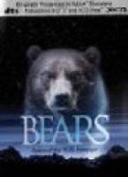 Bears DVD