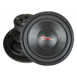 digital audio 12 inch subwoofer