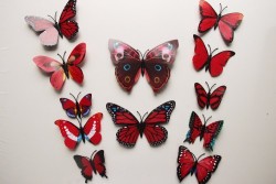 6x 3d Butterfly Wall Stickers