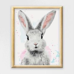 Adult Paint By Numbers With Frame - Beautiful Bunny