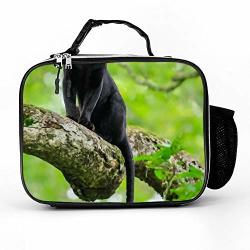 Sara Nell Lunch Backpack Black Panther Sitting On The Tree Lunch Box With Padded Liner Stylish Insulated Lunch Bag Durable Thermal Lunch Cooler Pack