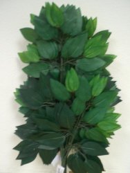 Bundle Of 12 Green Ficus Leaves Sprays Silk Artificial