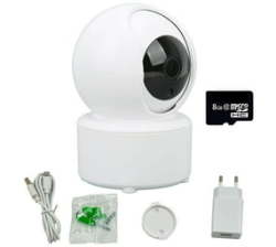 Nanny Vision Home & Office Wireless Network Operated Surveillance Security Camera & 8GB Card