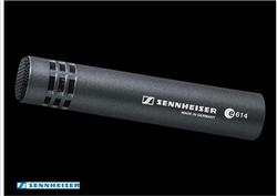 Sennheiser E614 Instrument Microphone