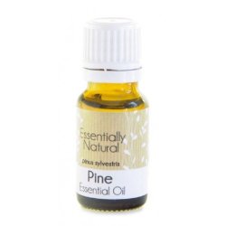 Pine Essential Oil - Standardised - 30ML