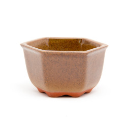 Willow Potteries Mame Bonsai Pots - Mustard Hexagon 6.5 X 4cm