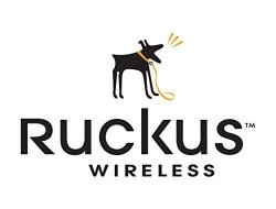 Ruckus Wireless Mounting Bracket For R300- 902-0118-0001 By Ruckus Wireless