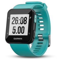 garmin forerunner 30 price check