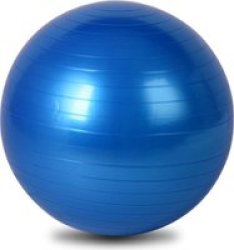 Anti Burst Gym Ball 65CM