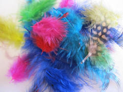 Mixed Guinea Fowl Feathers-5pc