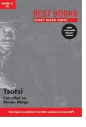 Study Work Guide: Tsotsi Gr 11 Hl Paperback