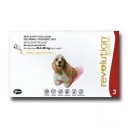 Selamectin Spot-on For Dogs Tick And Flea Control - 10.1KG- 20KG Medium