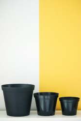 Black Plastic Pot - 12CM