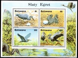 Botswana - 1989 Slaty Egret Ms Mnh Sg 677