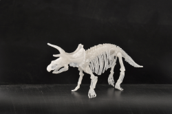 Dinosaurs Glowing Kits - 3D Triceratops