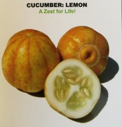 Heirloom And Speciality Seeds - Cucumber: Lemon