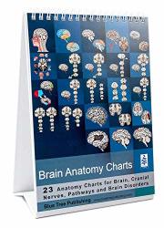 Blue Tree Publishing Inc. Brain Charts Brain Flip Chart