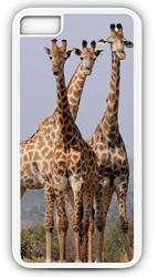 Iphone 6 Plus 6+ Tough Case Fits Iphone 6 Plus 6+ Or Iphone 6S Plus 6S+ South Africa Hluhluwe Giraffes Giraffe Wildlife Safari 20504