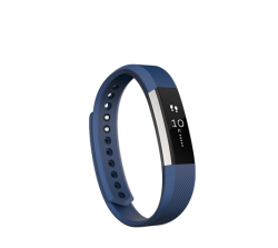 Fitbit Alta Large Activity Tracker in Blue & Silver