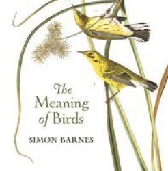The Meaning Of Birds Hardcover
