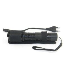 1101 Taser Stun Gun & Rechargeable Flashlight