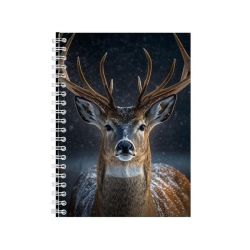 Product image - {main}