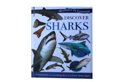 Discover Sharks