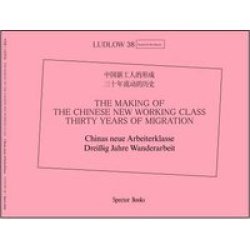 The Making Of The Chinese New Working Class - Thirty Years Of Migration Paperback