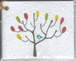 Growing Paper - Single Gift Tag - Colour Tree